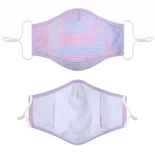 Load image into Gallery viewer, Fabric Face Mask Washable with Carbon Filter PM2.5  - Stripe Pink Blue
